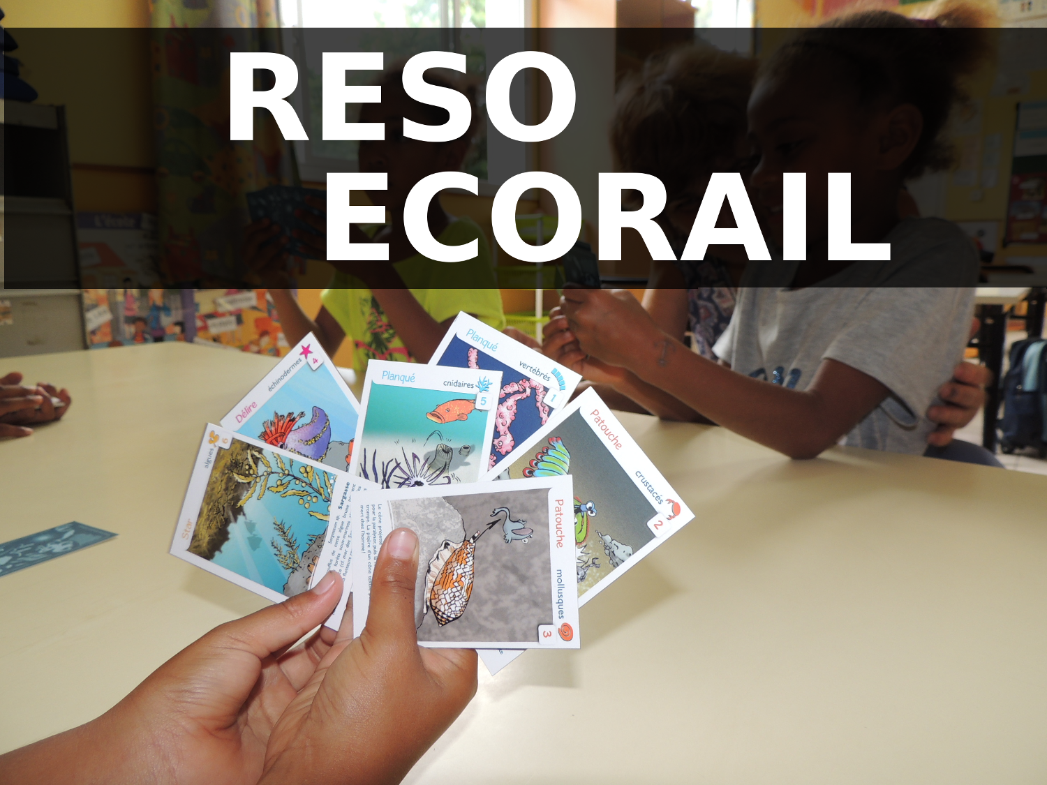 reso-ecorail.png