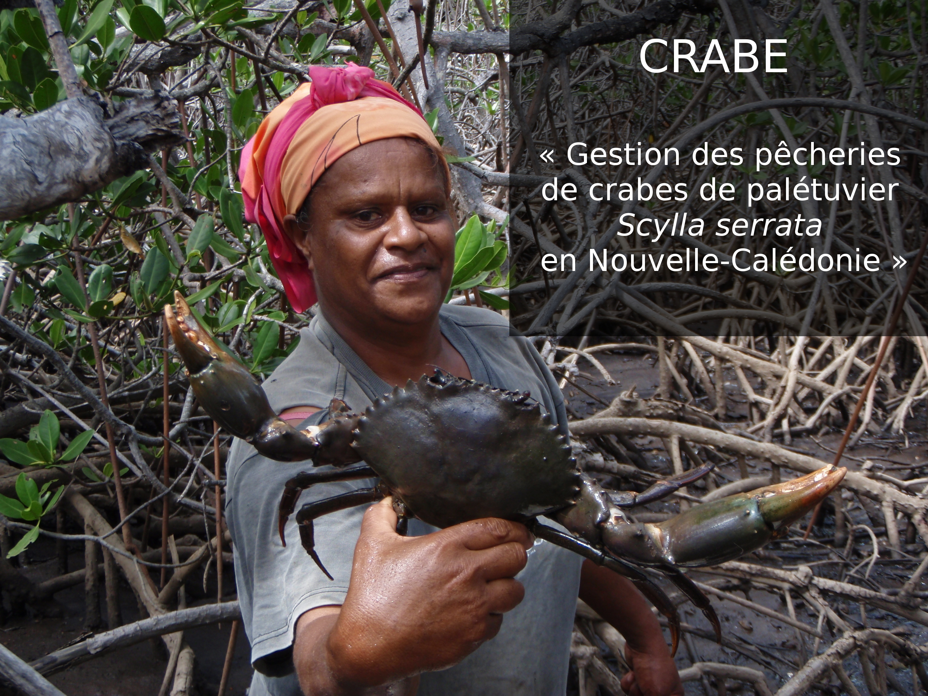 crabe1.JPG