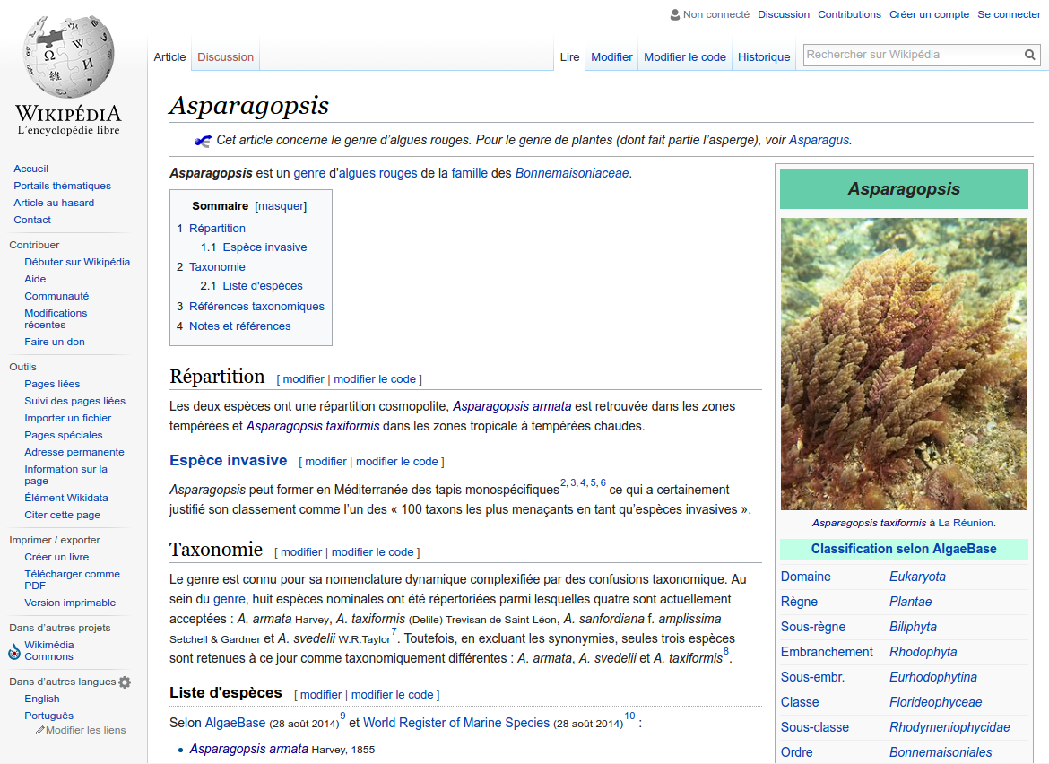 wikipedia_Asparagopsis.png