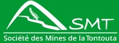 logo smt.jpg