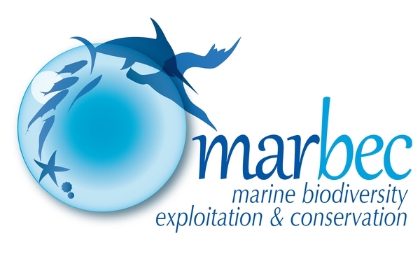 logo-marbec.jpeg