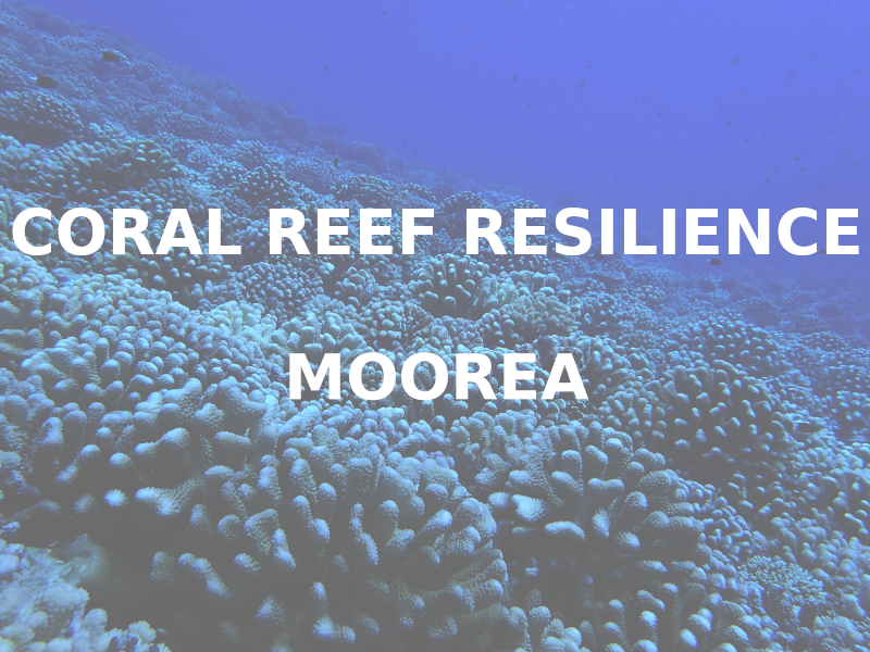 CoralReefResilience_Moore_thumb.png