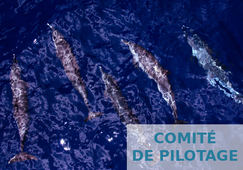 comite_pilotage_ENTROPIE.png