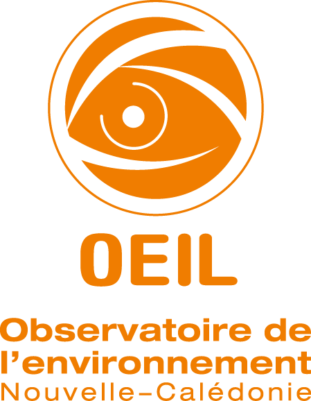 LOGO OEIL QUADRI_sans fond.png