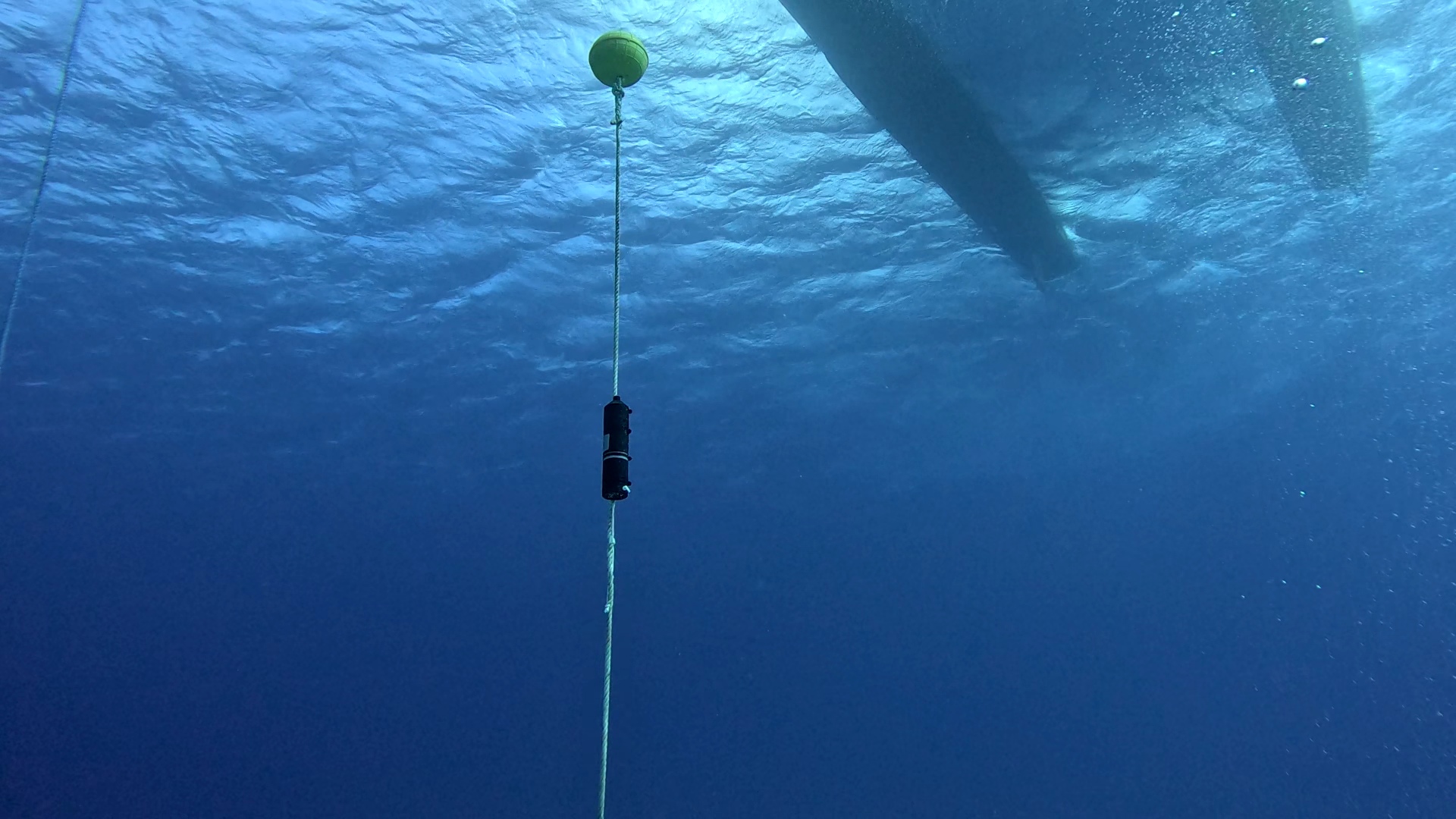 © S. Roblet - IRD © S. Roblet - IRD